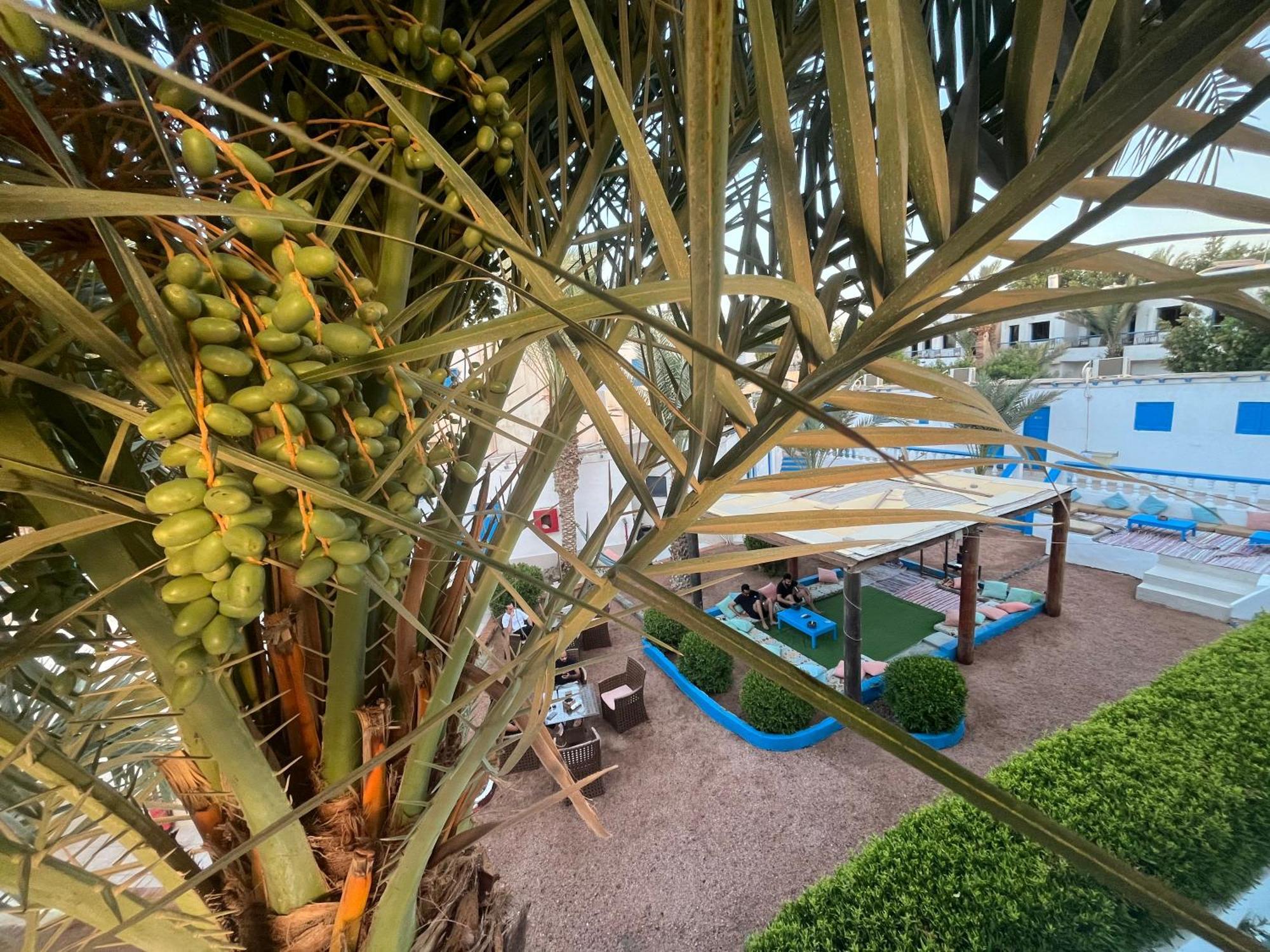 Auski Hostel Дахаб Екстериор снимка